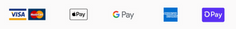 Payment